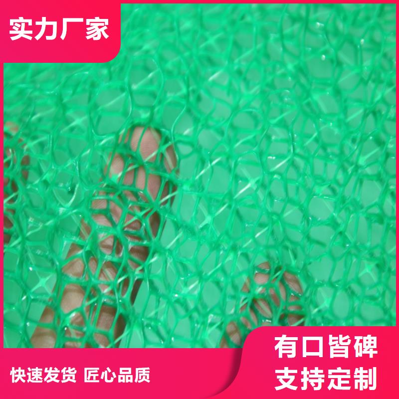 三维护坡植被网垫#草皮固土