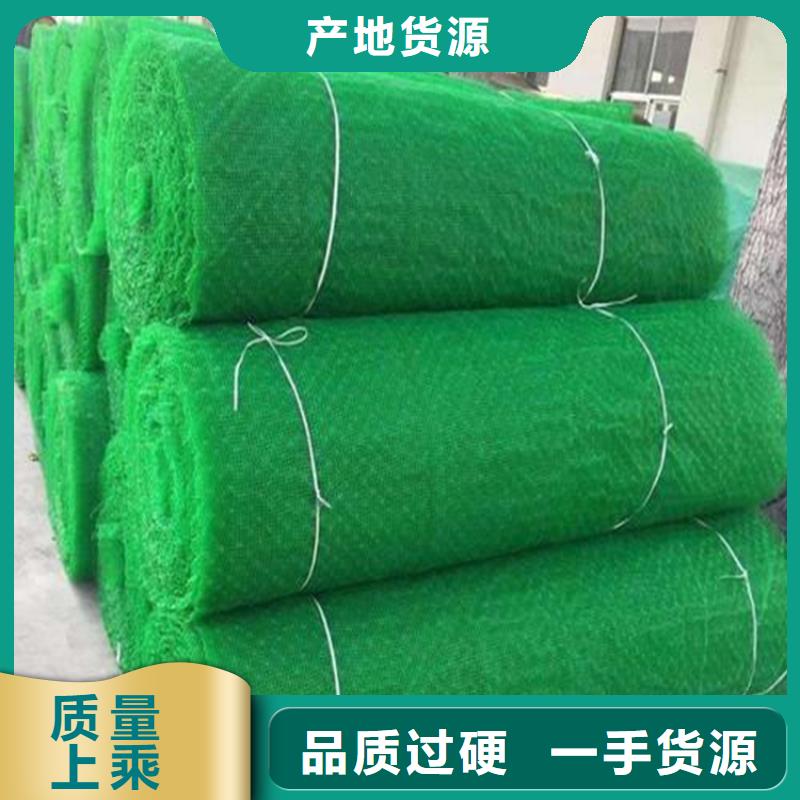 绿化塑料三维加筋土工网垫