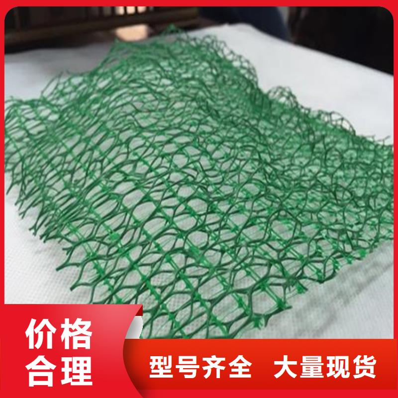厂家《中齐》护坡加筋网垫-三维土工网
