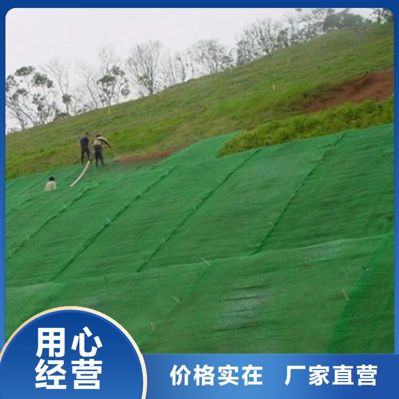 三维土工网垫-EM2三维土工网垫