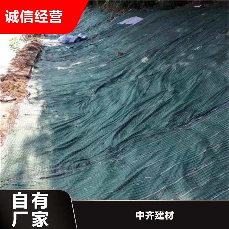 加筋复合环保草毯-加筋复合抗冲生态毯