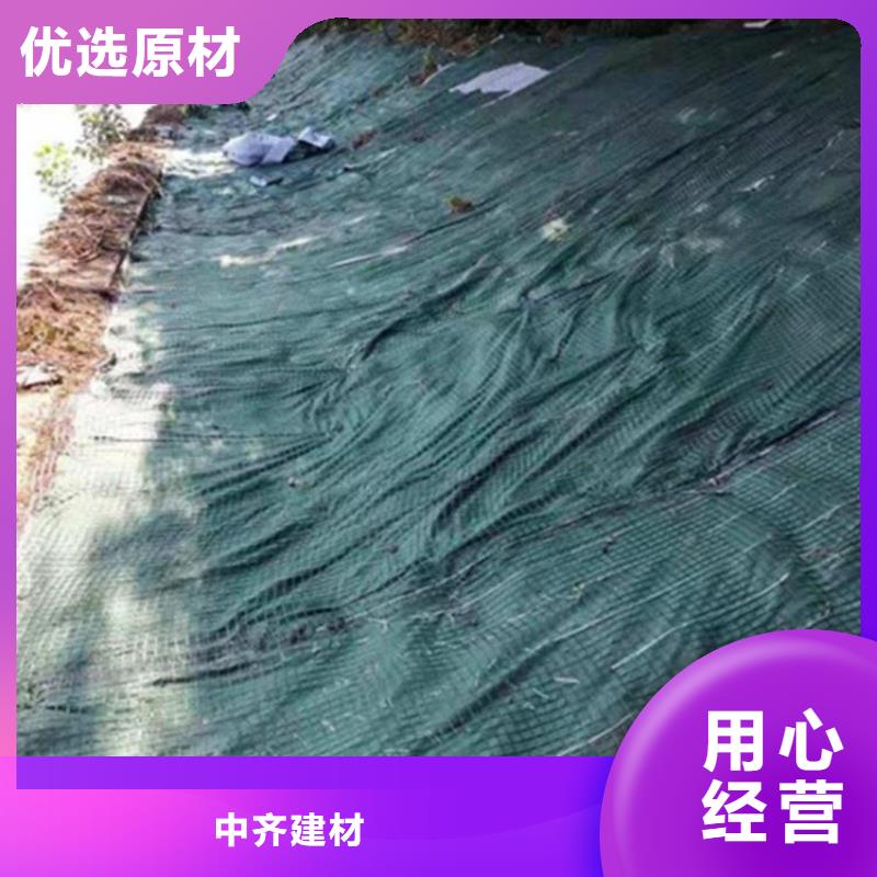 草种椰丝毯-椰丝毯土工格栅