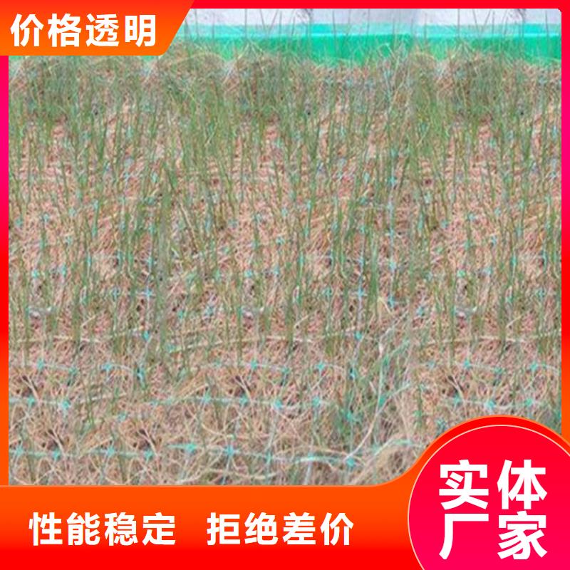 椰纤植生毯-加筋抗冲生物毯