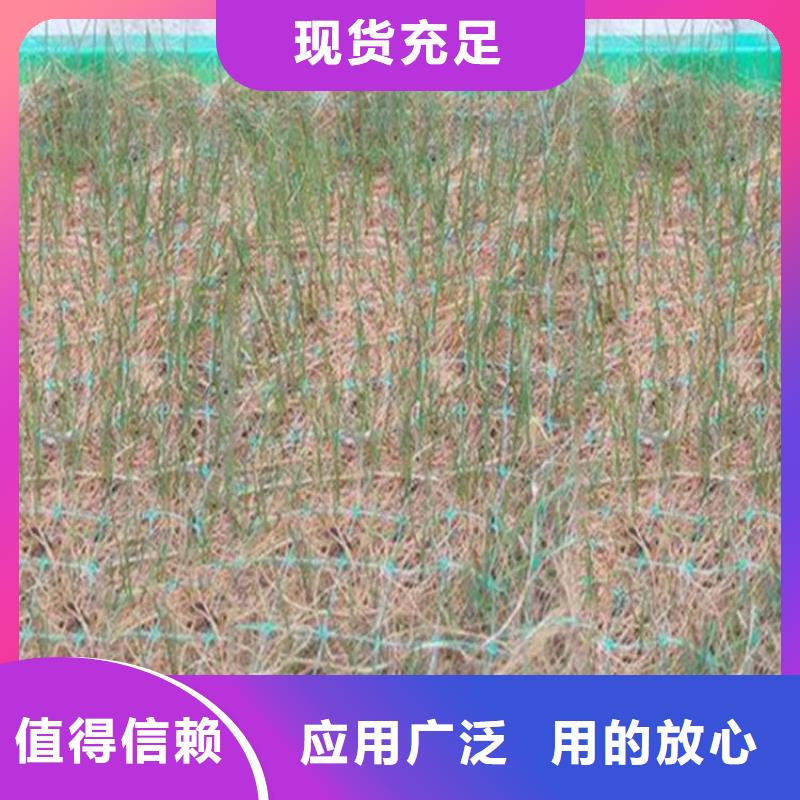 生态环保草毯-植物纤维毯