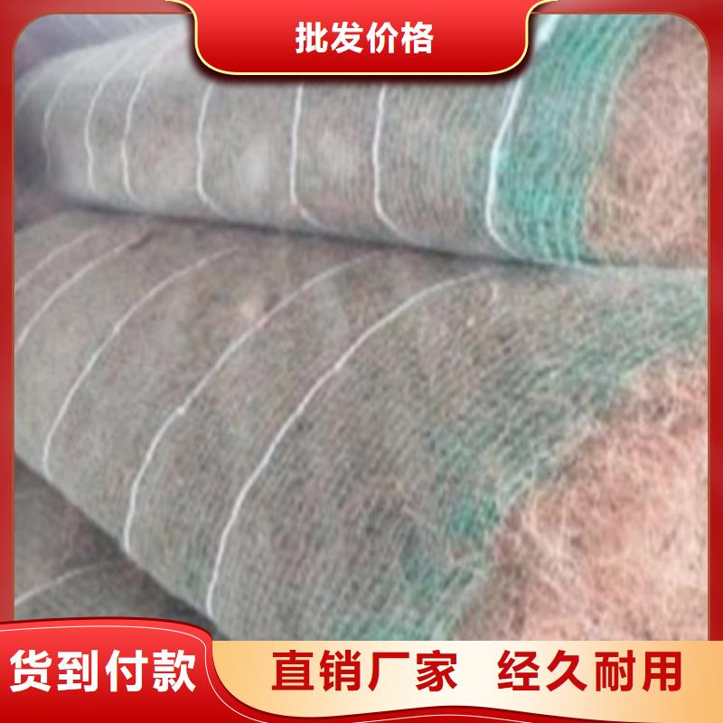 植物纤维毯-加筋抗冲生物毯
