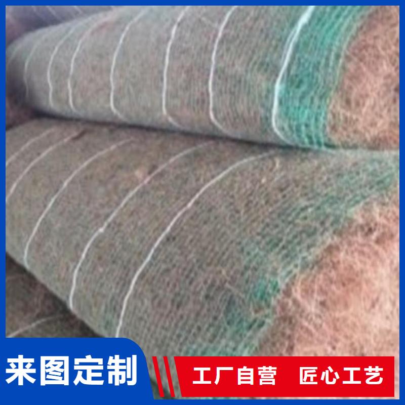 生态环保草毯-加筋抗冲生态毯-护坡草毯