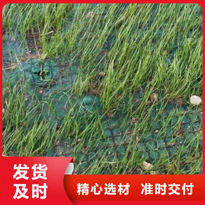 生态抗冲毯加筋复合植草毯