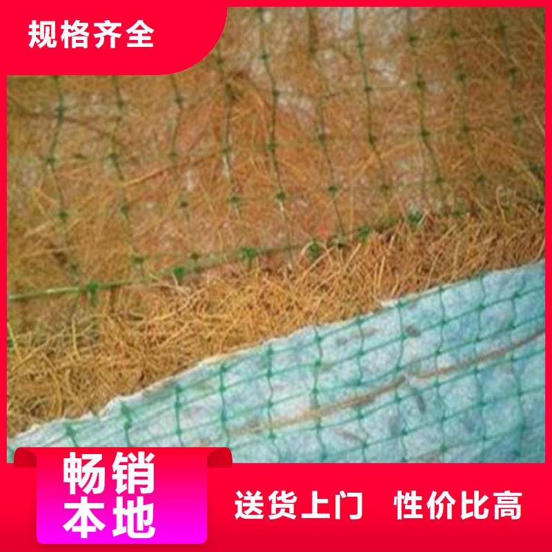 陵水县植生椰丝毯秸秆纤维生态毯