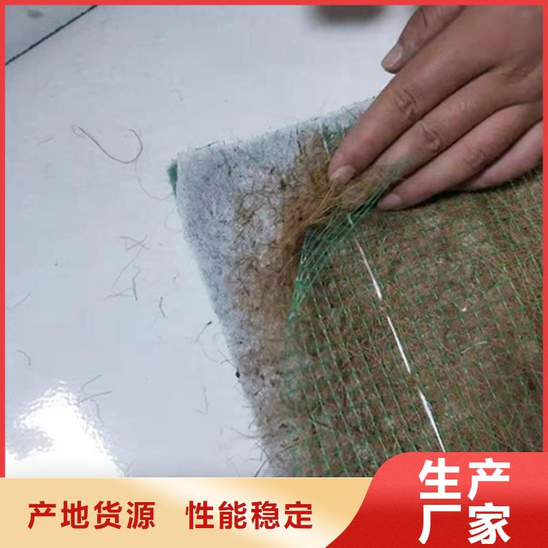 陵水县护坡植被植草毯椰纤植草毯