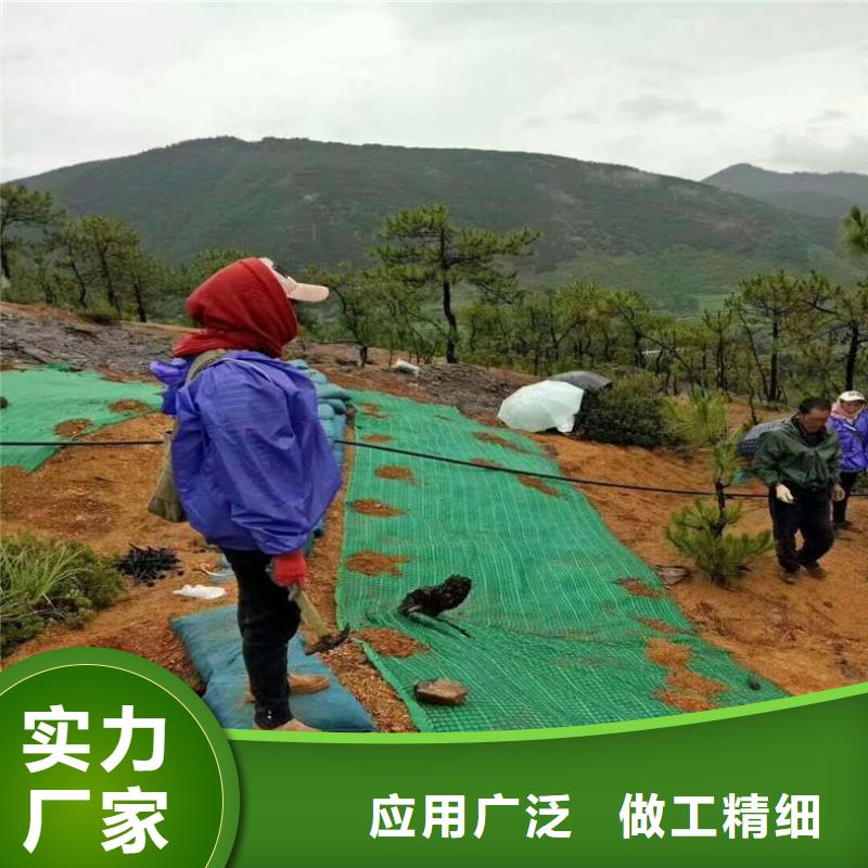 植生椰丝毯-加筋抗冲生态毯