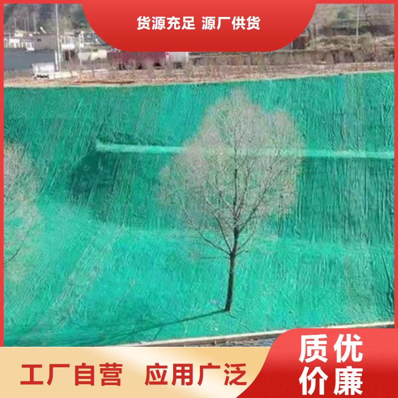 陵水县护坡植被植草毯椰纤植草毯