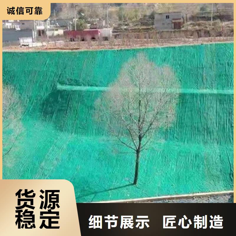 护坡植被植草毯施工案例介绍