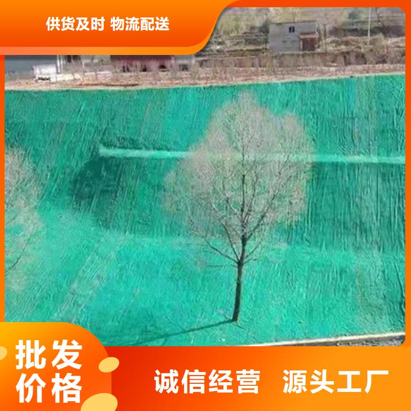 陵水县植生椰丝毯秸秆纤维生态毯