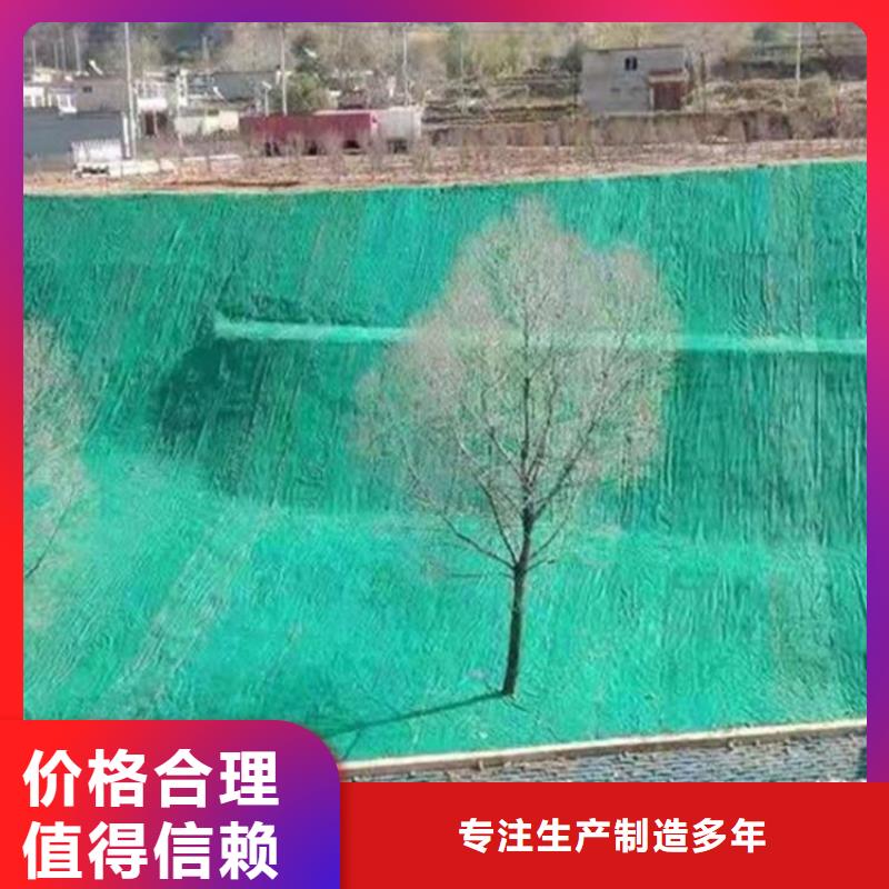 植物纤维毯-生态植被毯