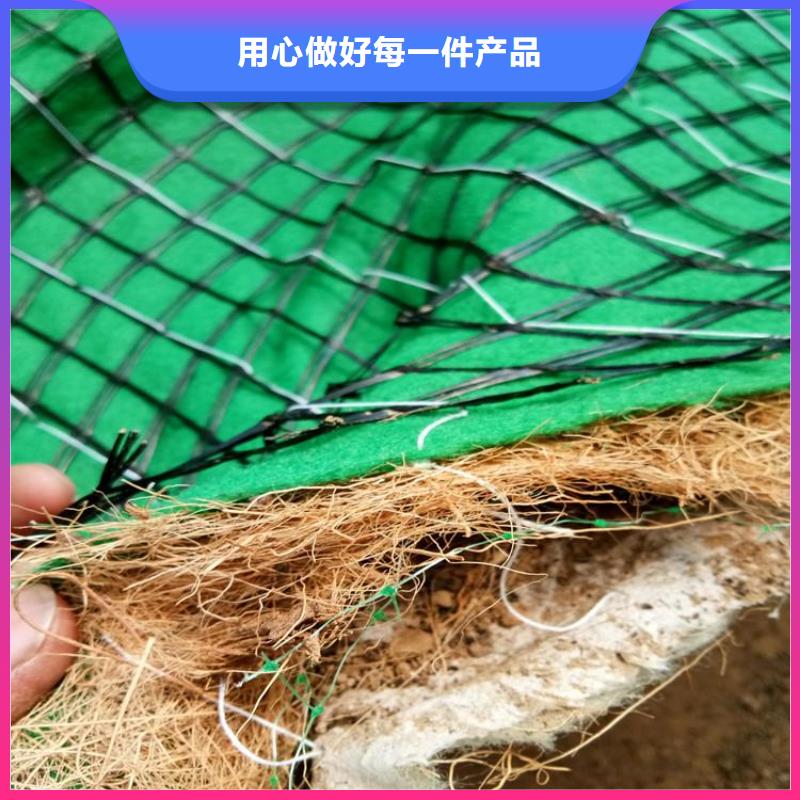 护坡植被植草毯-边坡植物防护毯