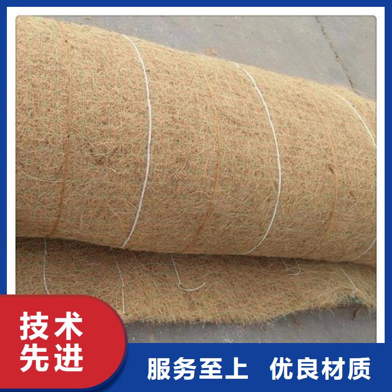 加筋抗冲生态毯-植物生态防护毯-公路植生毯