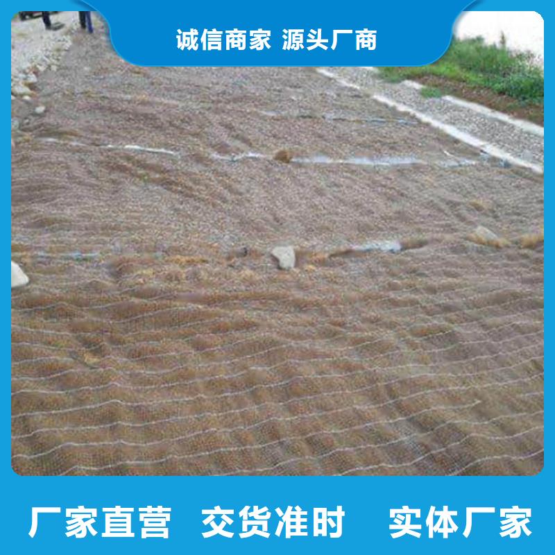 护坡植被植草毯施工案例介绍