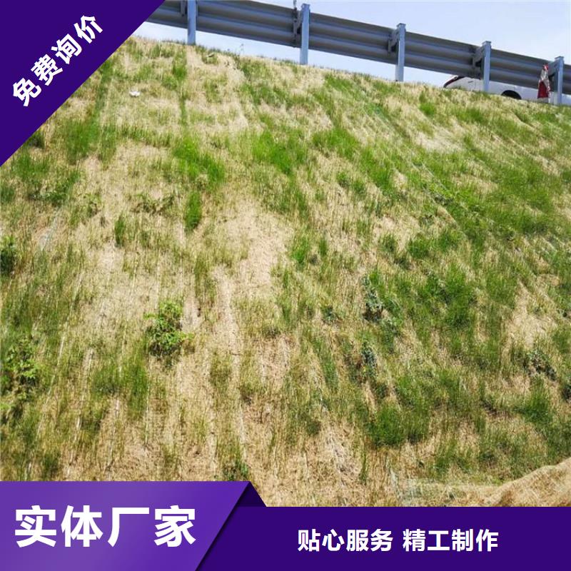 植物纤维毯-加筋抗冲生物毯案例介绍
