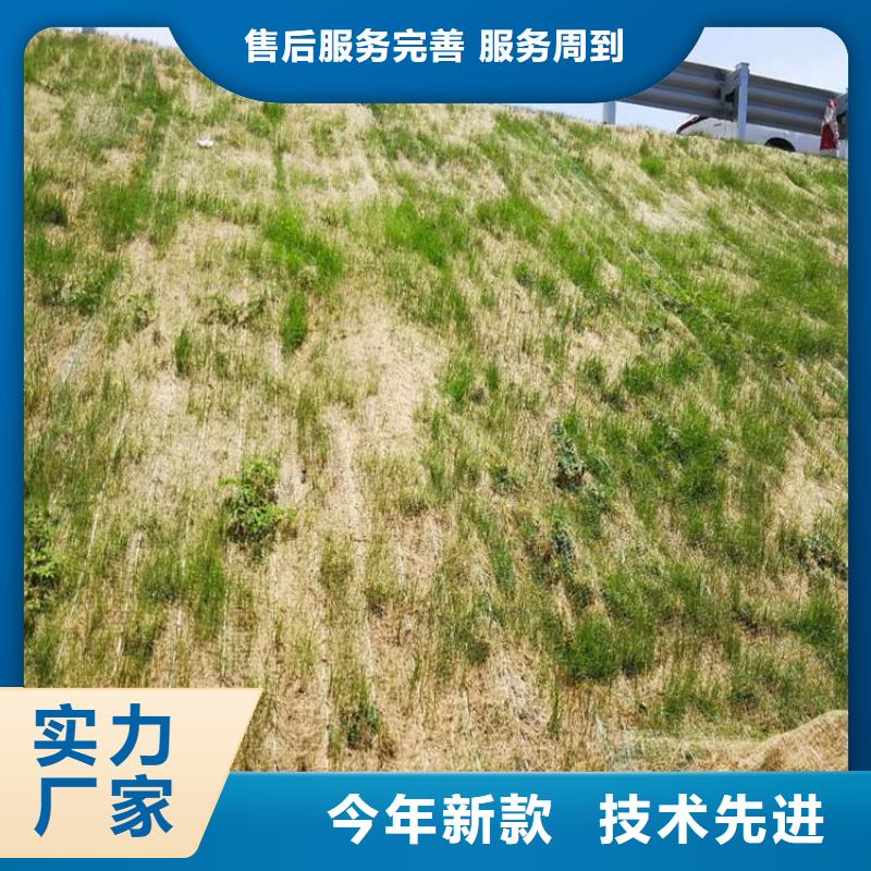 屯昌县生态环保草毯-植物纤维毯-绿化毯