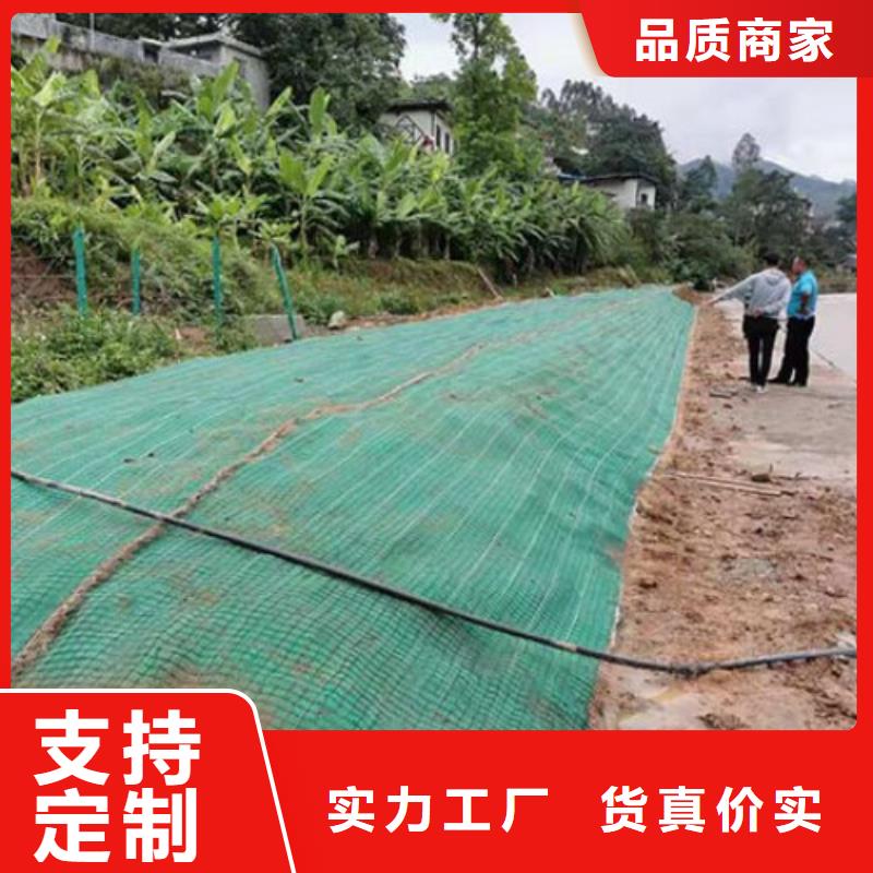 加筋抗冲生态毯-加筋抗冲生物毯供应商