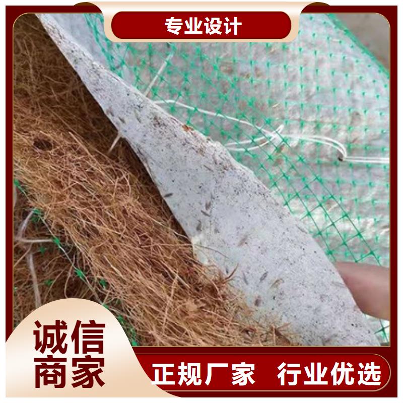 植生椰丝毯-护坡植被植草毯