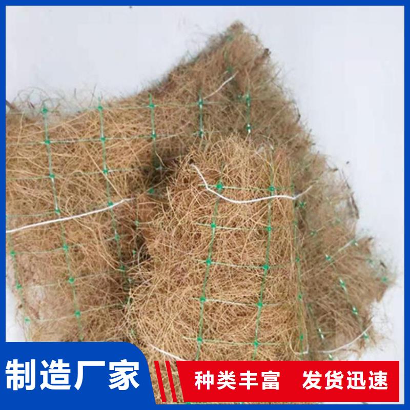 陵水县护坡植被植草毯椰纤植草毯