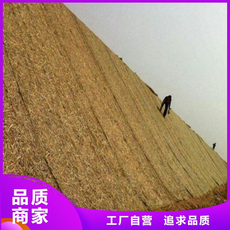生态环保草毯厂家-公司经销