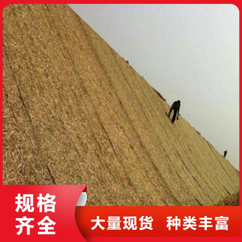 植物生态防护毯-加筋抗冲生物毯