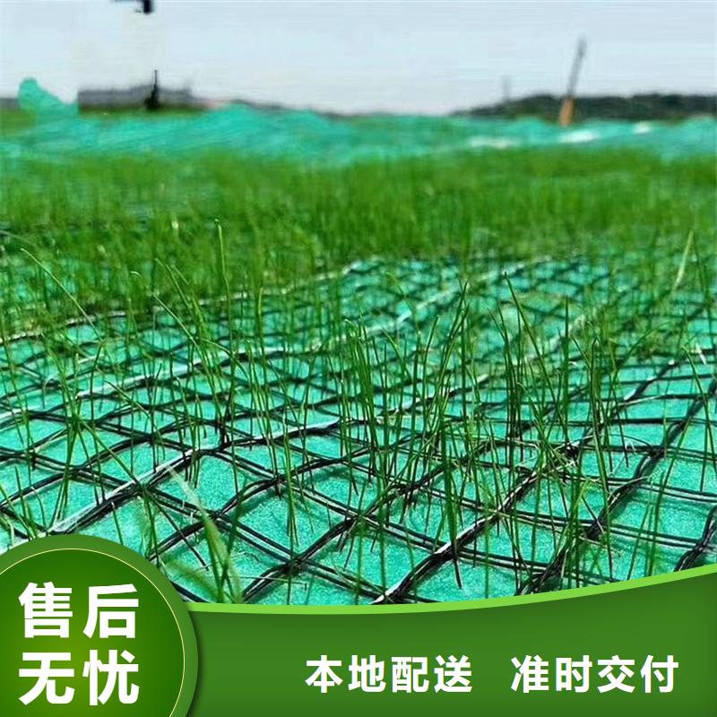 植生椰丝毯-生态环保草毯