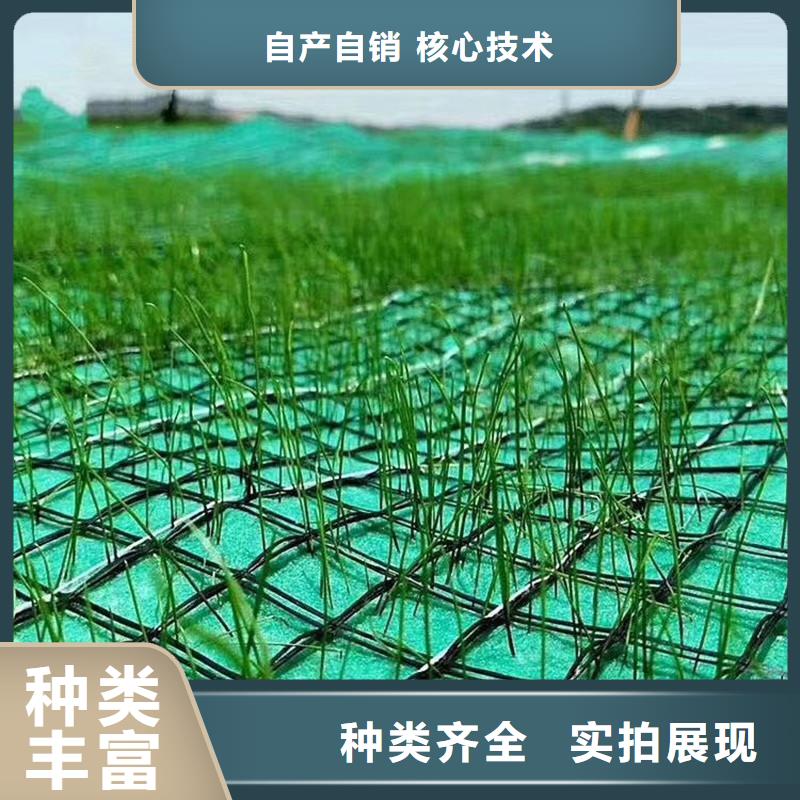 椰丝毯产品详情