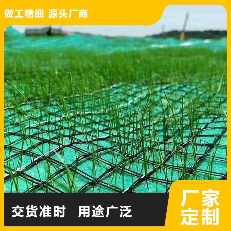植物纤维毯-加筋抗冲生物毯-生态护坡毯