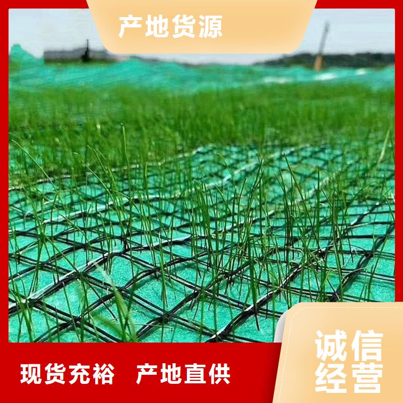 椰丝护坡毯植被纤维毯