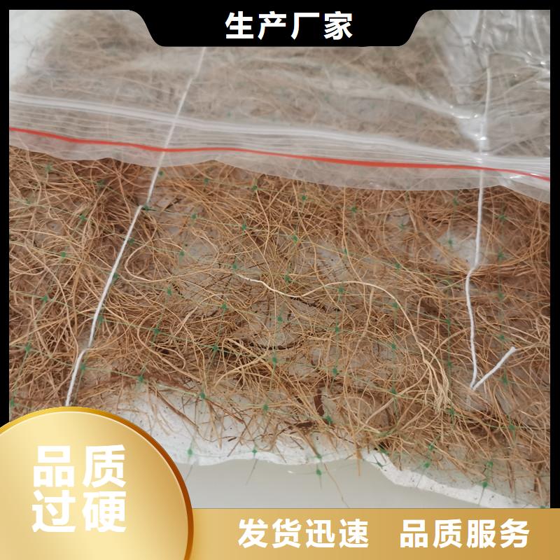 椰丝毯公司新闻