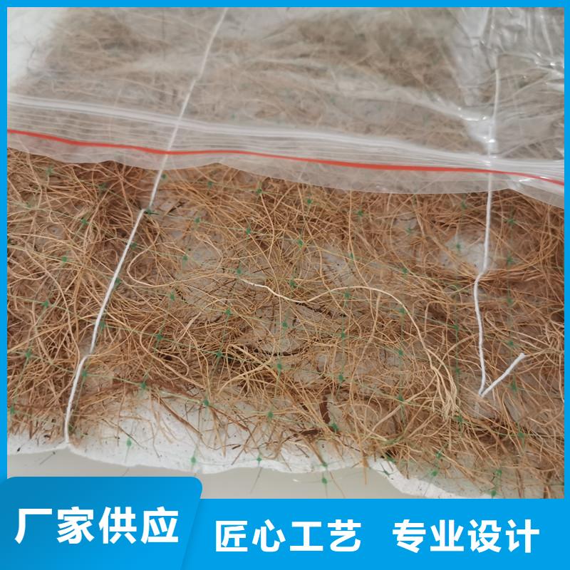 植物纤维毯-加筋抗冲生物毯案例介绍