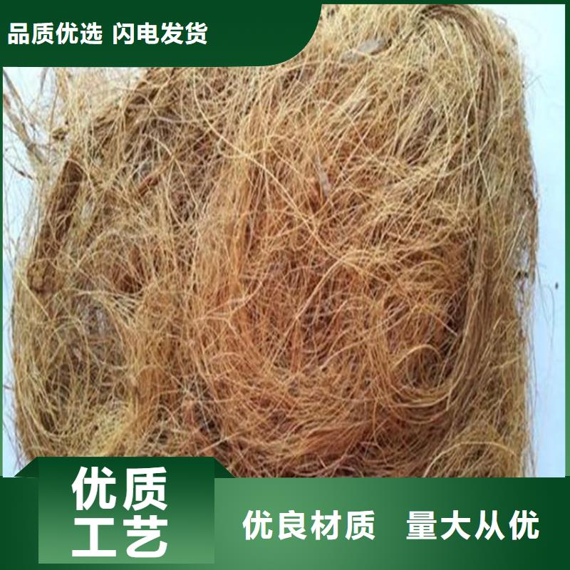 生态环保草毯批发/多少钱一平