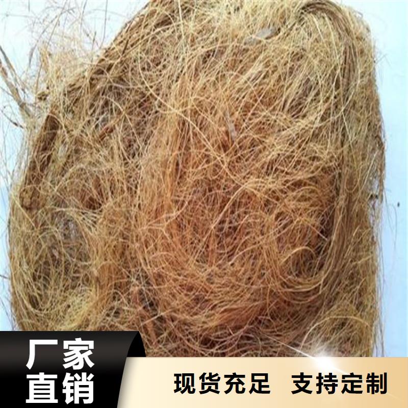 植物生态防护毯-椰纤植生毯