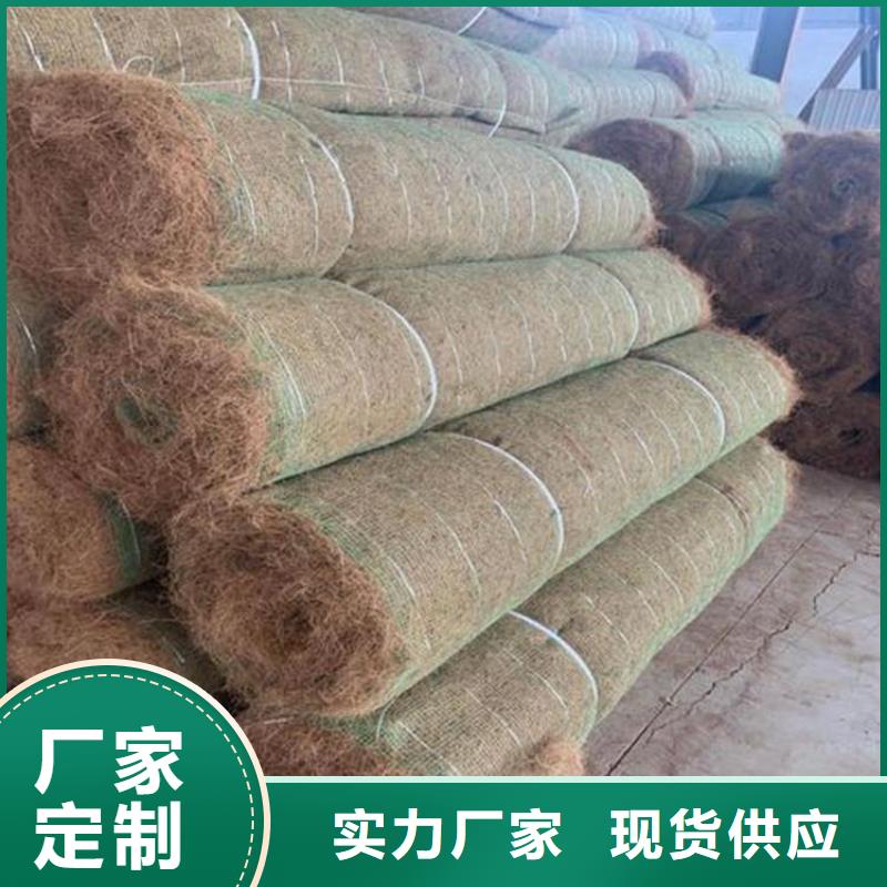 椰纤植生毯-生态环保草毯施工图片
