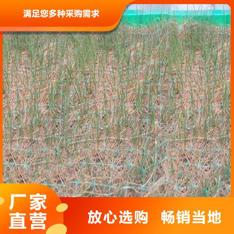水保加筋椰丝毯绿化毯