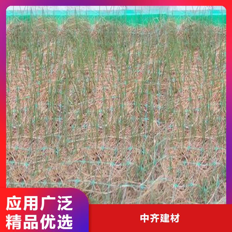 护坡植被植草毯-绿化植被垫