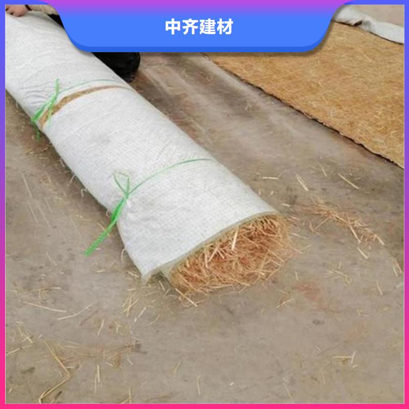 植生椰丝毯-护坡植被植草毯