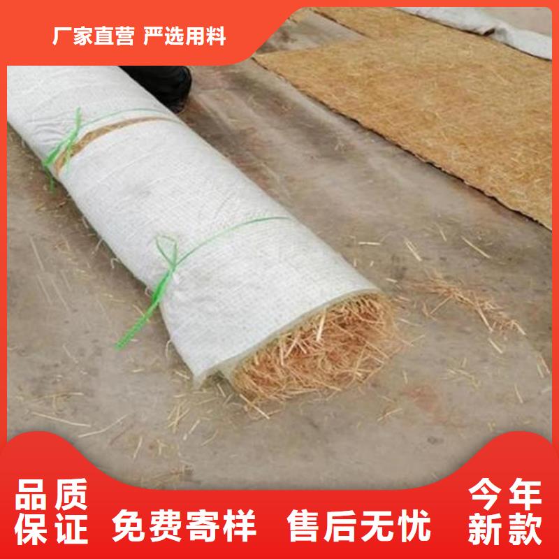 植生椰丝毯-生态环保草毯