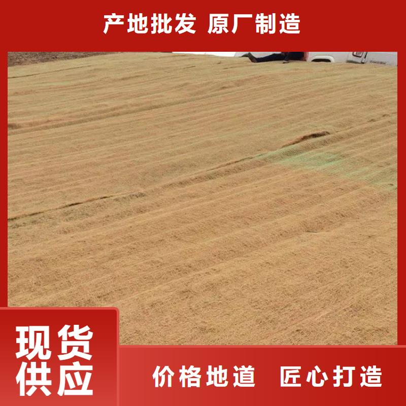 植物生态防护毯当地公司