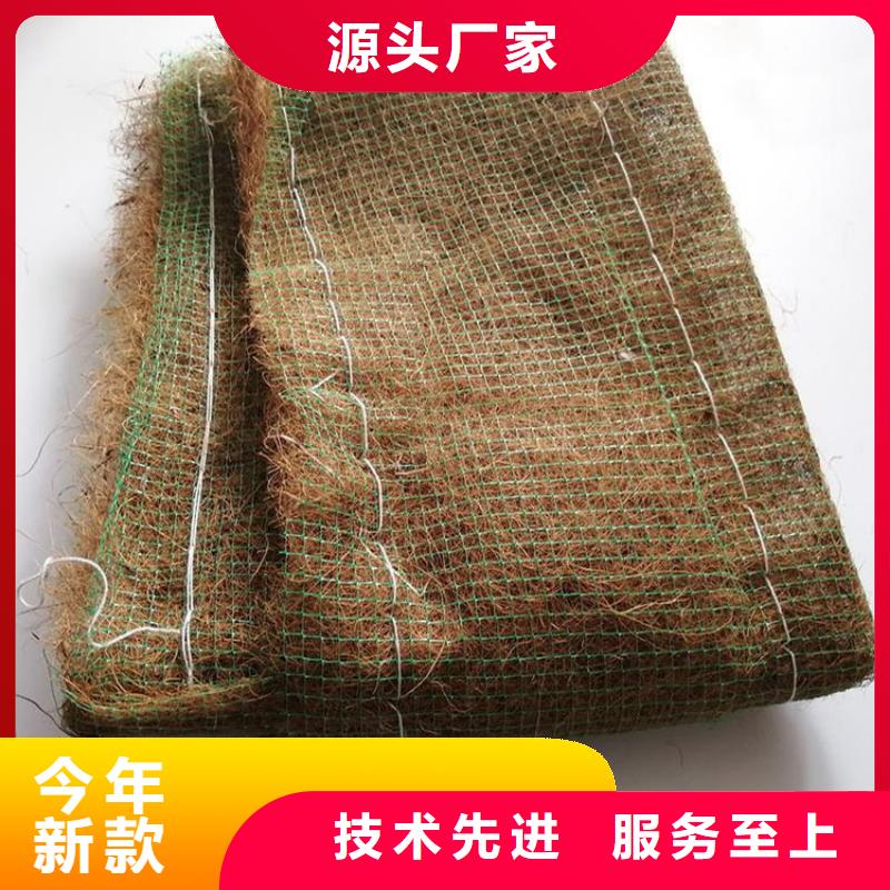 植生椰丝毯-加筋抗冲生态毯