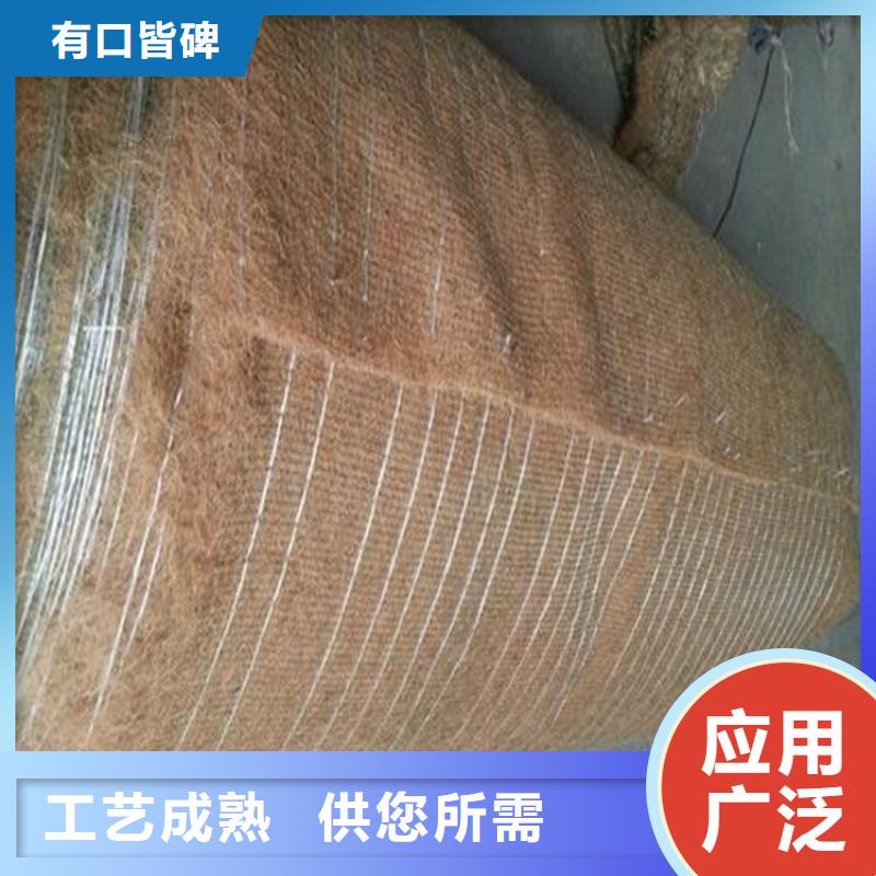 植生椰丝毯-生态环保草毯-PP加筋椰丝毯