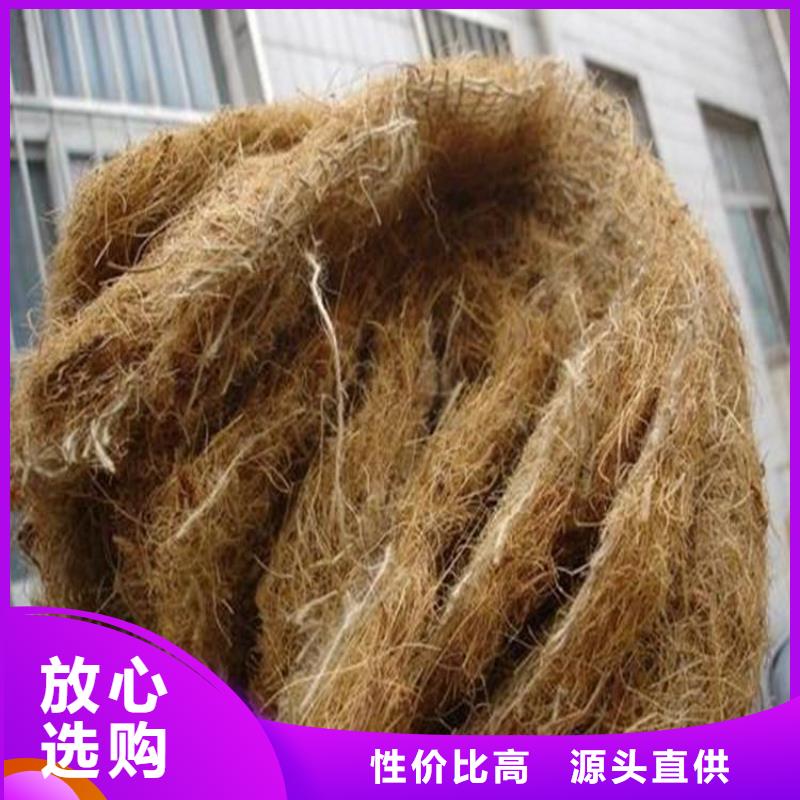 护坡椰丝毯草籽植生毯