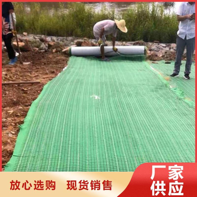 生态环保草毯厂家-公司经销