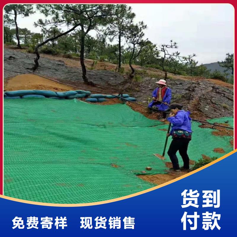 椰丝毯价格行情