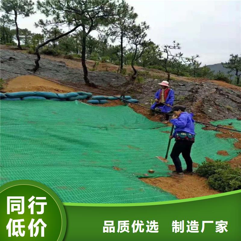 椰纤植生毯-植物纤维毯-抗冲毯