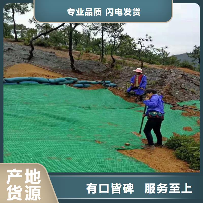 护坡植被植草毯施工案例介绍