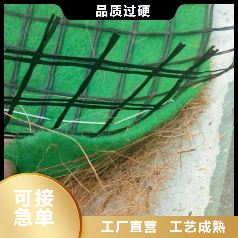 植生椰丝毯-护坡植被植草毯